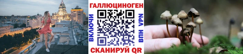 Псилоцибиновые грибы Psilocybine cubensis  купить наркоту  Чехов 